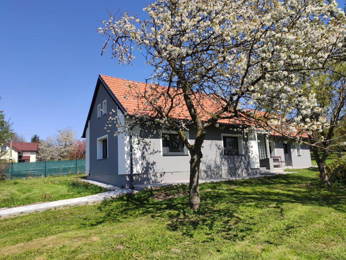 Venkovsky Dum Holiday home