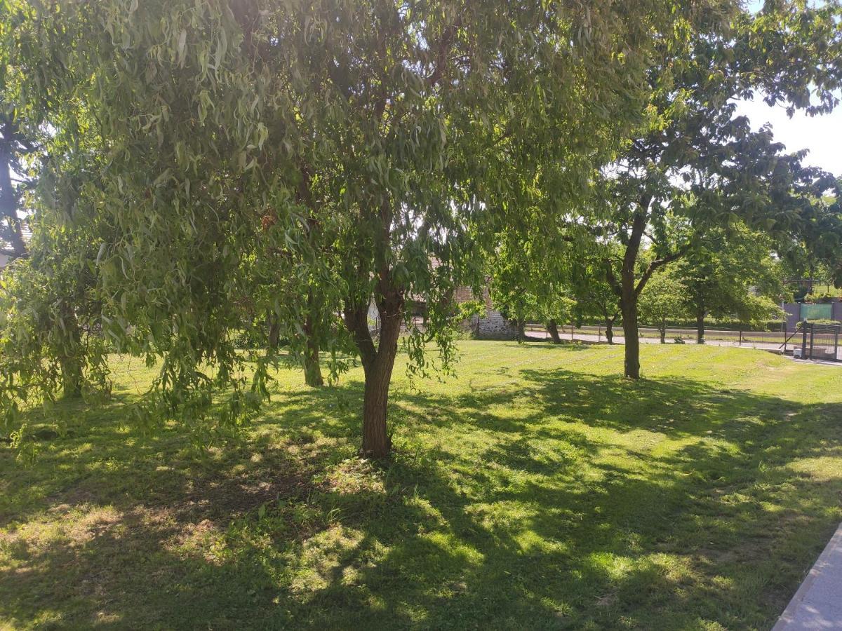 Venkovsky Dum Holiday home Dolni Prim
